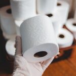 The Essential Hygiene Companion: Sanitary Paper